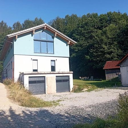 Fewo Wiesenblick Waldmünchen Eksteriør billede