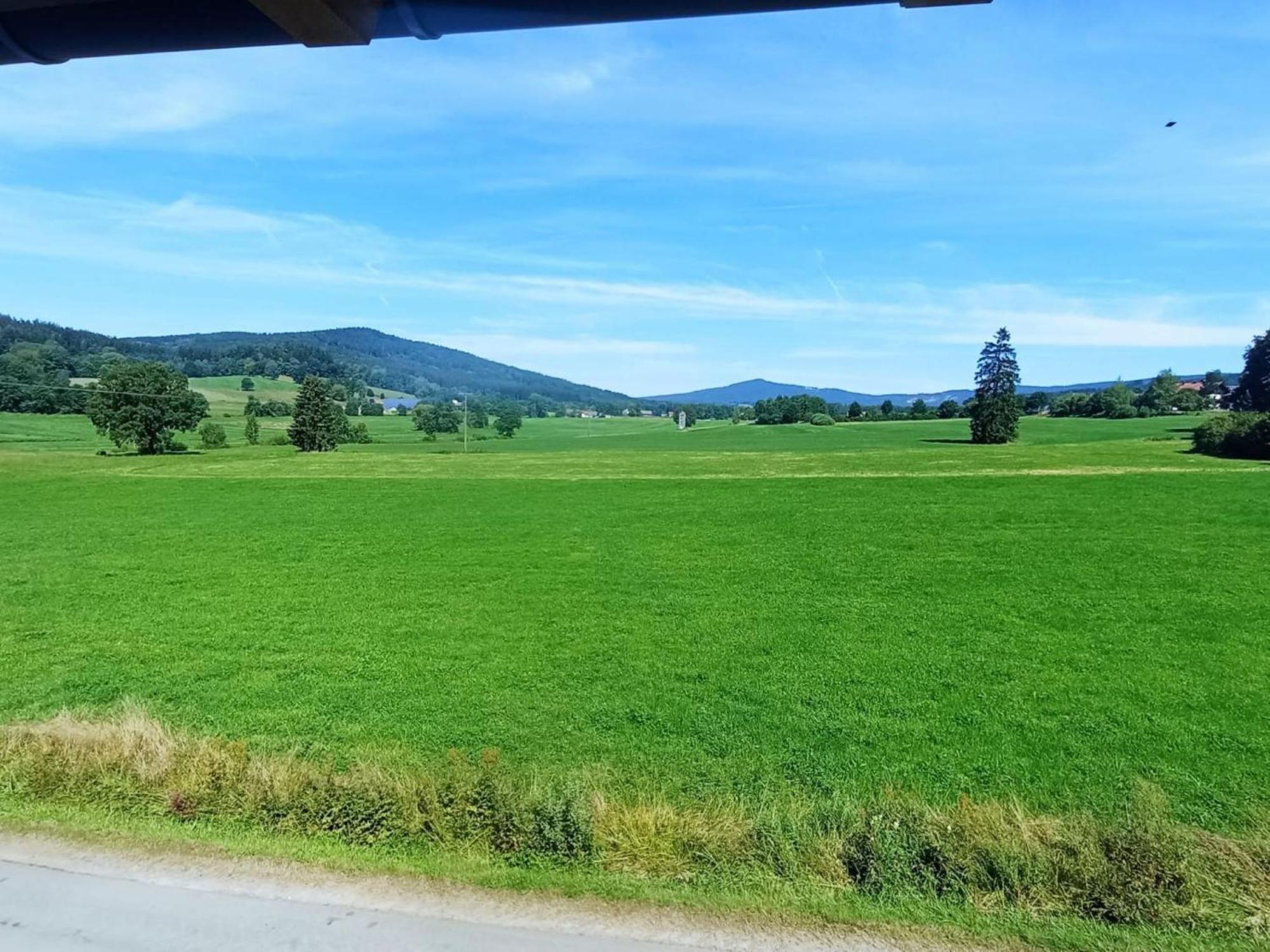 Fewo Wiesenblick Waldmünchen Eksteriør billede